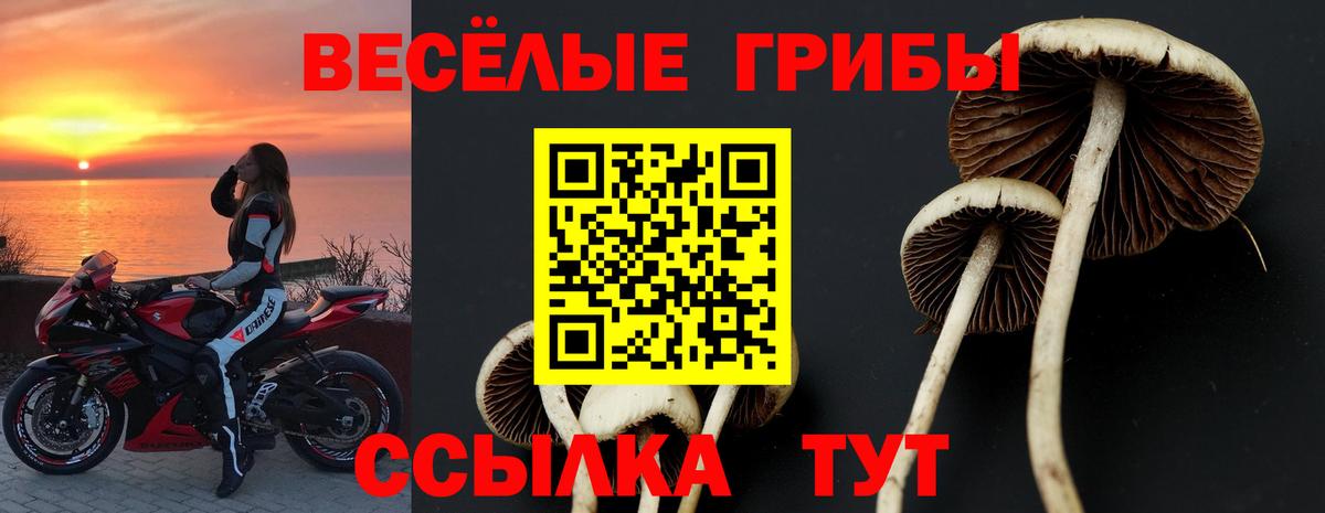 Галлюциногенные грибы мицелий  Галлюциногенные грибы GOLDEN TEACHER  Вход с VPN  где можно купить наркотик  Валуйки 